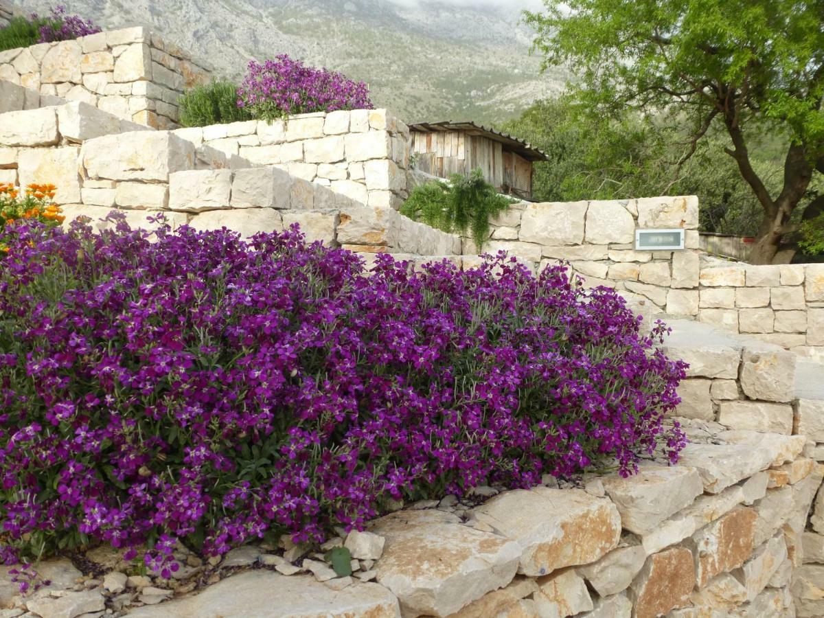 Vila Kuca Za Odmor Viola Živogošće Exteriér fotografie